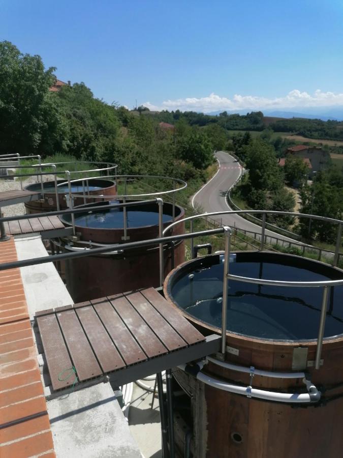Villa Belvedere Langhe Exterior foto